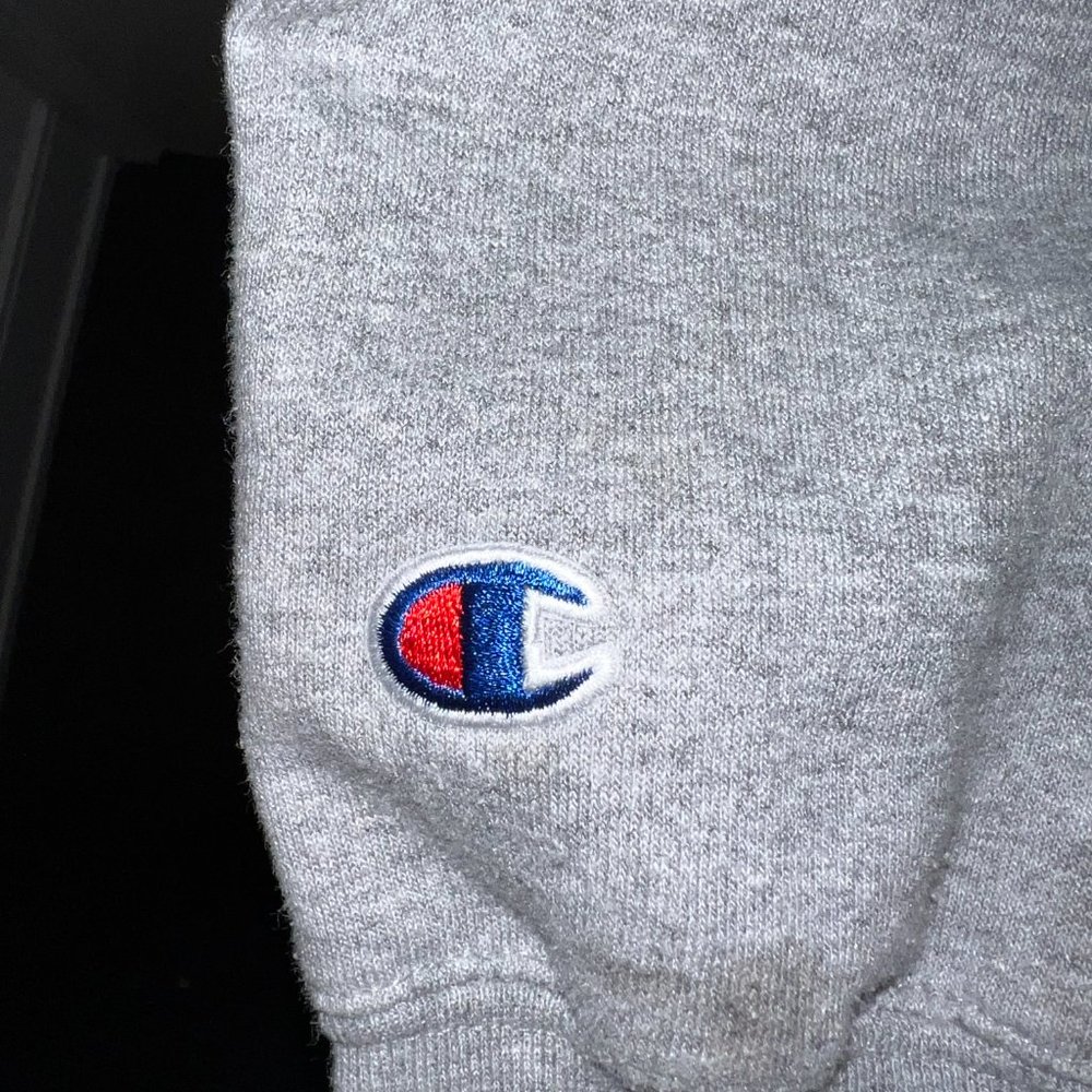 OufT Varsity MEN'S T-LEAF 1/4 ZIP | CHAMPION - Picture 5 of 5